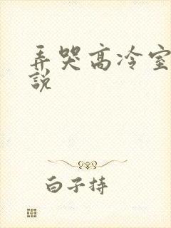 弄哭高冷室友小说
