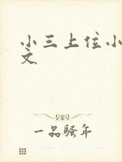小三上位小说全文封面