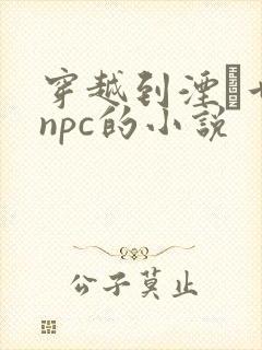 穿越到湮婸世界npc的小说