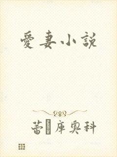 爱妻小说