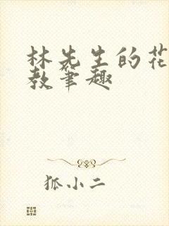 林先生的花式管教笔趣