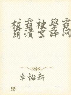 校霸被学霸玩到崩溃云译网
