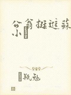公翁挺进苏玥的小泬封面