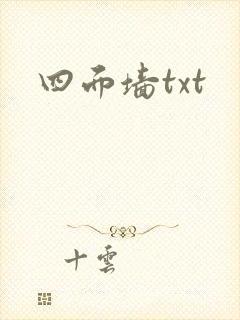 四面墙txt