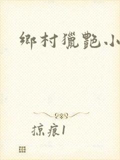 乡村猎艳小说