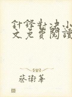 针锋对决小说全文免费阅读完整版封面