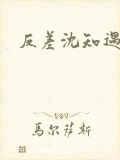 反差沈知遇晏应
