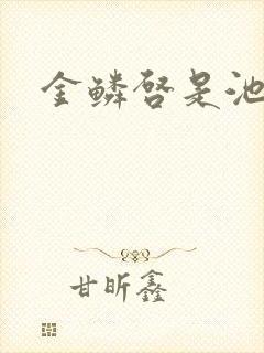 金鳞启是池中物封面