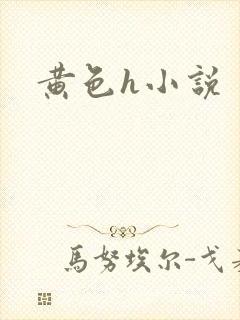 黄色h小说