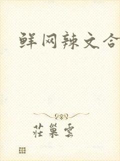 鲜网辣文合集