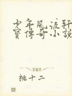 少年风流轩辕大宝传奇小说