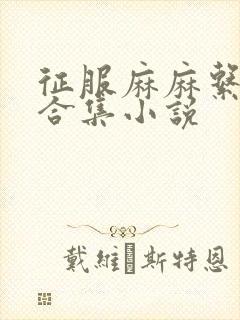 征服麻麻系列大合集小说