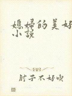 媳妇的美好时代小说