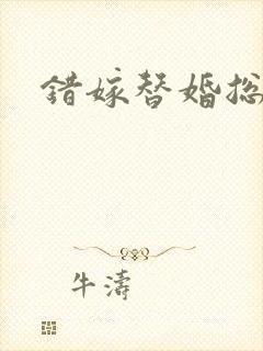 错嫁替婚总裁