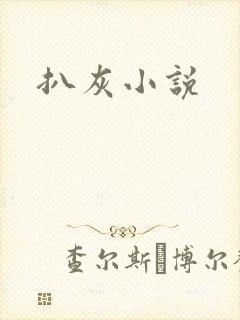 扒灰小说封面