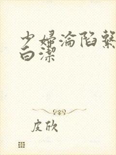 少妇沦陷系列之白洁封面