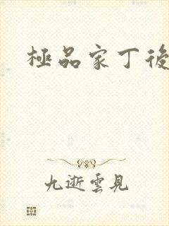 极品家丁后传