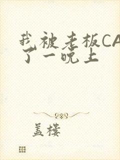 我被老板CAO了一晚上封面