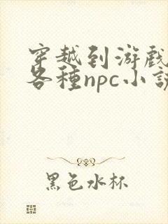 穿越到游戏里和各种npc小说