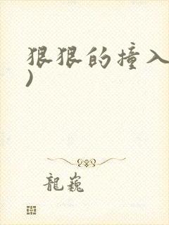 狠狠的撞入(h)