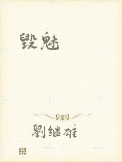 毁魅封面
