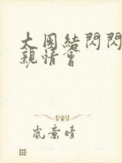 大团结闪闪发光亲情会封面