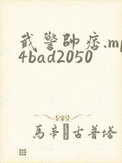 武警帅痞.mp4bad2050封面