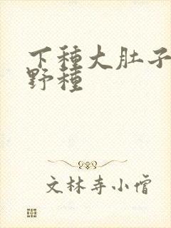 下种大肚子怀孕野种
