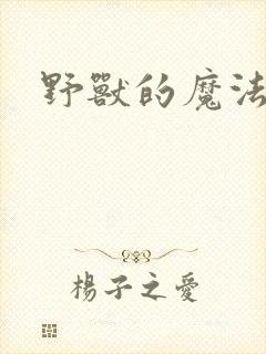 野兽的魔法师