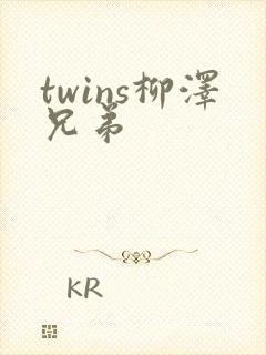 twins柳泽兄弟封面
