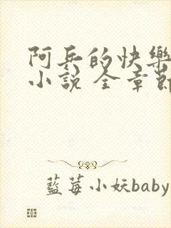 阿兵的快乐生活小说 全章节阅读免费封面
