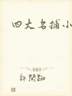 四大名捕小说封面