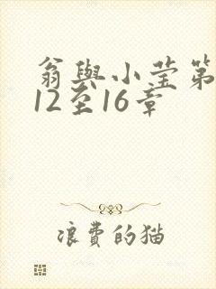 翁与小莹第十部12至16章