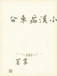 公车痴汉小说封面