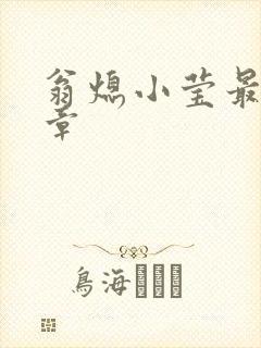 翁熄小莹最新节章