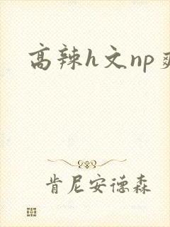 高辣h文np爽