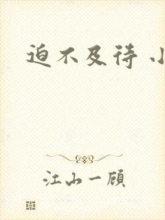迫不及待 小穴