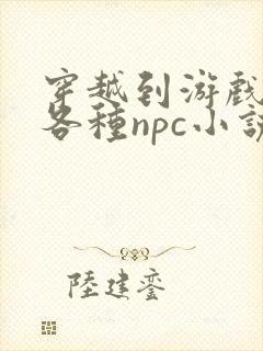 穿越到游戏里和各种npc小说