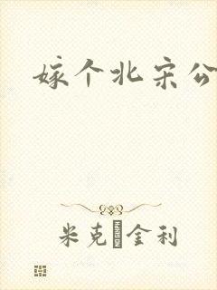 嫁个北宋公务员