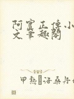 阿宾正传小说全文笔趣阁