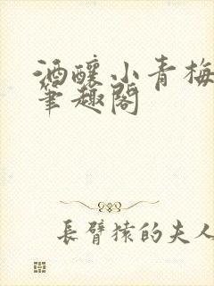 酒酿小青梅po笔趣阁
