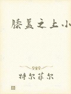 膝盖之上小说
