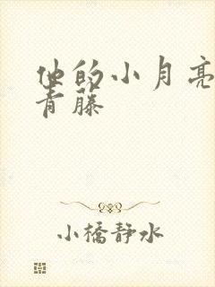 他的小月亮by青藤