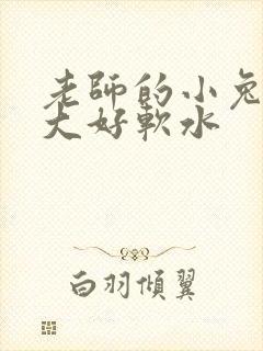 老师的小兔子好大好软水