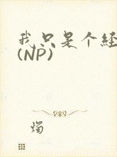 我只是个经纪人(NP)