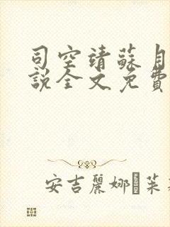 司空靖苏月汐小说全文免费阅读封面