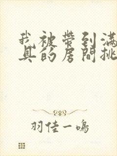我被带到满是玩具的房间挑调游戏