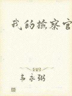 我的检察官先生