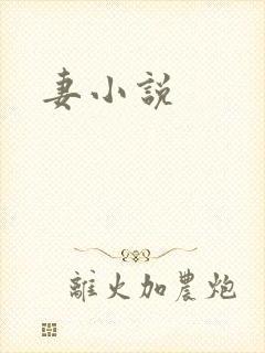 妻小说