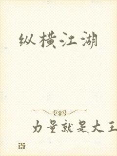 纵横江湖